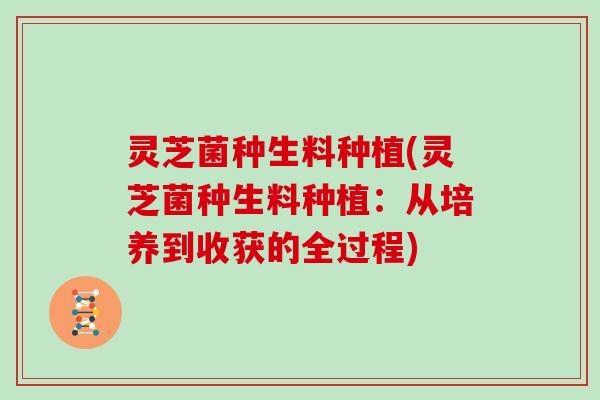 灵芝菌种生料种植(灵芝菌种生料种植:从培养到收获的全过程)-第1张图片-灵芝大师 灵芝菌种生料种植(灵芝菌种生料种植:从培养到收获的全过程)-第1张图片-灵芝大师