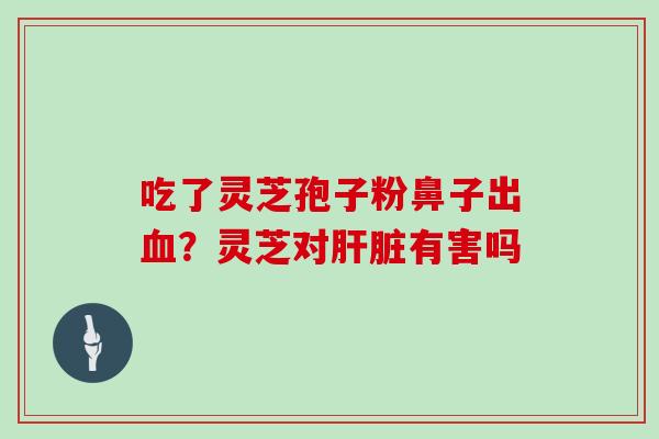 吃了灵芝孢子粉鼻子出血？灵芝对肝脏有害吗