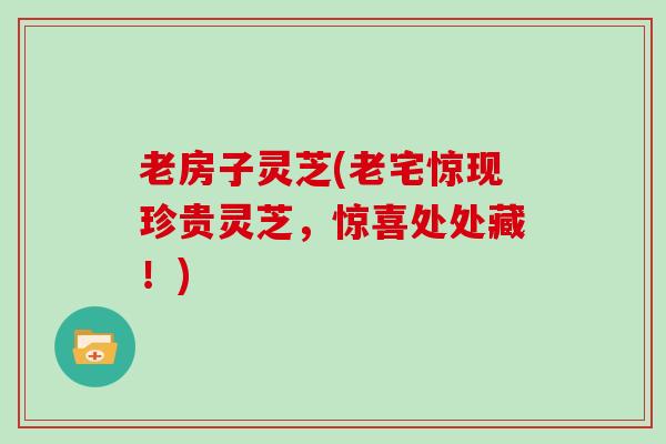老房子灵芝(老宅惊现珍贵灵芝,惊喜处处藏!)-第1张图片-灵芝大师 老房子灵芝(老宅惊现珍贵灵芝,惊喜处处藏!)-第1张图片-灵芝大师