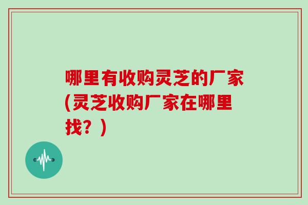 哪里有收购灵芝的厂家(灵芝收购厂家在哪里找？)
