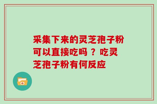 采集下来的灵芝孢子粉可以直接吃吗 ？吃灵芝孢子粉有何反应