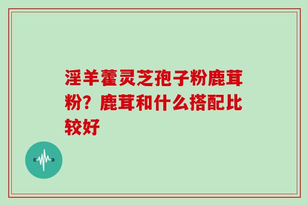 淫羊藿灵芝孢子粉鹿茸粉？鹿茸和什么搭配比较好