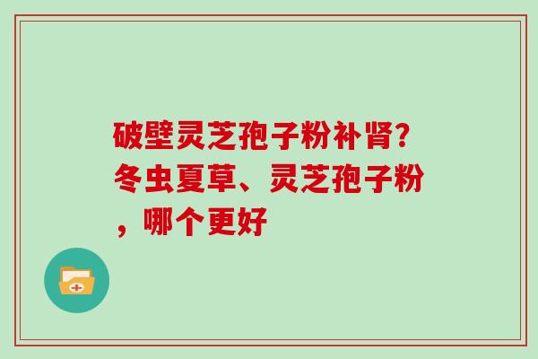 破壁灵芝孢子粉补肾？冬虫夏草、灵芝孢子粉，哪个更好