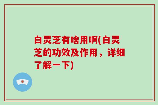白灵芝有啥用啊(白灵芝的功效及作用,详细了解一下)-第1张图片-灵芝大师 白灵芝有啥用啊(白灵芝的功效及作用,详细了解一下)-第1张图片-灵芝大师