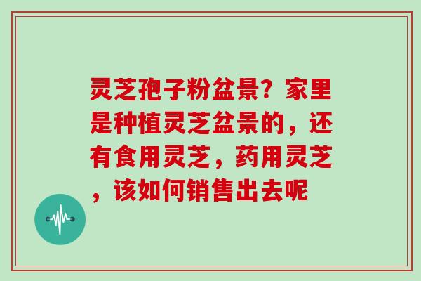 灵芝孢子粉盆景？家里是种植灵芝盆景的，还有食用灵芝，药用灵芝，该如何销售出去呢
