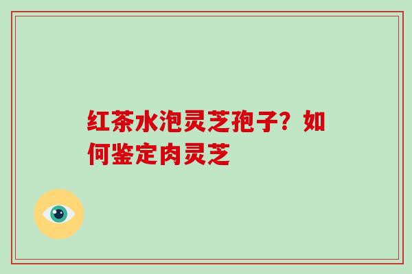 红茶水泡灵芝孢子？如何鉴定肉灵芝