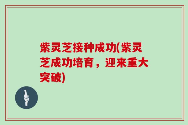 紫灵芝接种成功(紫灵芝成功培育，迎来重大突破)