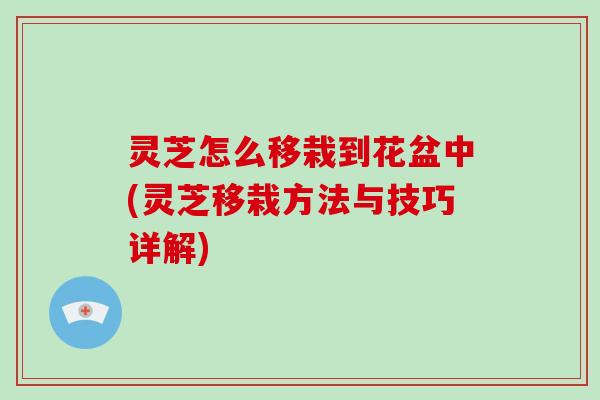 灵芝怎么移栽到花盆中(灵芝移栽方法与技巧详解)