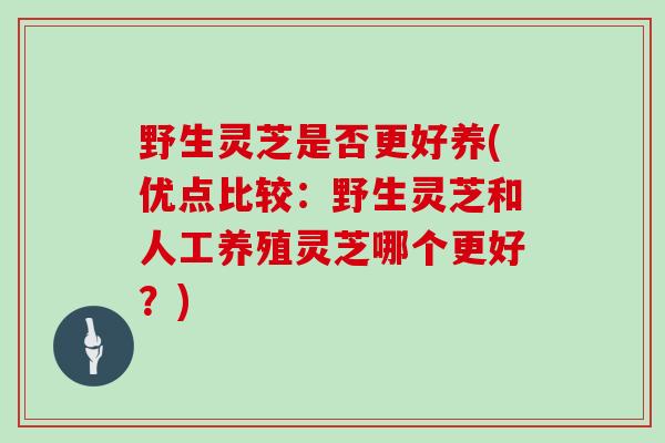 野生灵芝是否更好养(优点比较：野生灵芝和人工养殖灵芝哪个更好？)