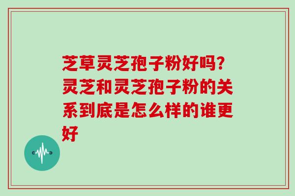 芝草灵芝孢子粉好吗？灵芝和灵芝孢子粉的关系到底是怎么样的谁更好