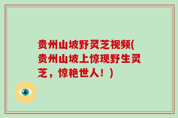 贵州山坡野灵芝视频(贵州山坡上惊现野生灵芝，惊艳世人！)