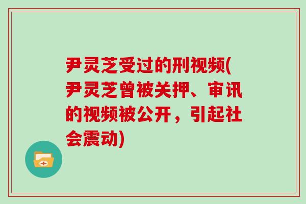 尹灵芝受过的刑视频(尹灵芝曾被关押、审讯的视频被公开，引起社会震动)
