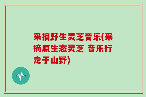 采摘野生灵芝音乐(采摘原生态灵芝 音乐行走于山野)