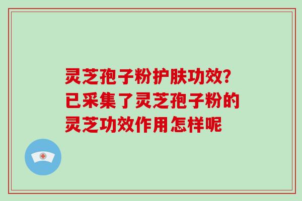 灵芝孢子粉护肤功效？已采集了灵芝孢子粉的灵芝功效作用怎样呢