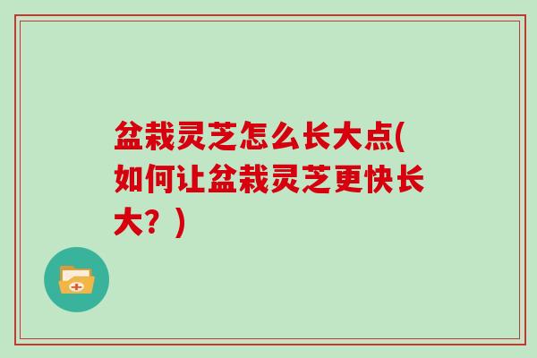 盆栽灵芝怎么长大点(如何让盆栽灵芝更快长大？)