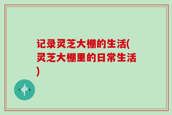 记录灵芝大棚的生活(灵芝大棚里的日常生活)