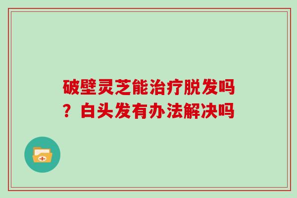 破壁灵芝能治疗脱发吗？白头发有办法解决吗