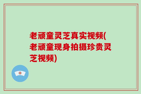 老顽童灵芝真实视频(老顽童现身拍摄珍贵灵芝视频)