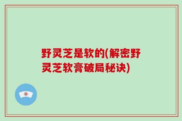 野灵芝是软的(解密野灵芝软膏破局秘诀)