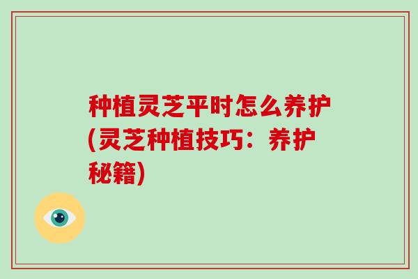 种植灵芝平时怎么养护(灵芝种植技巧：养护秘籍)