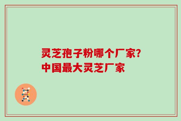 灵芝孢子粉哪个厂家？中国最大灵芝厂家