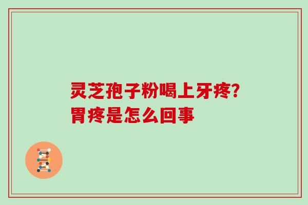 灵芝孢子粉喝上牙疼?胃疼是怎么回事-第1张图片-灵芝大师 灵芝孢子粉喝上牙疼?胃疼是怎么回事-第1张图片-灵芝大师