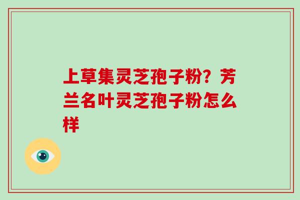 上草集灵芝孢子粉？芳兰名叶灵芝孢子粉怎么样