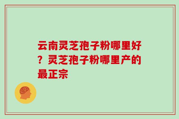 云南灵芝孢子粉哪里好？灵芝孢子粉哪里产的最正宗