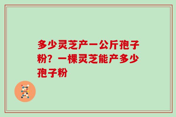 多少灵芝产一公斤孢子粉?一棵灵芝能产多少孢子粉-第1张图片-灵芝大师 多少灵芝产一公斤孢子粉?一棵灵芝能产多少孢子粉-第1张图片-灵芝大师