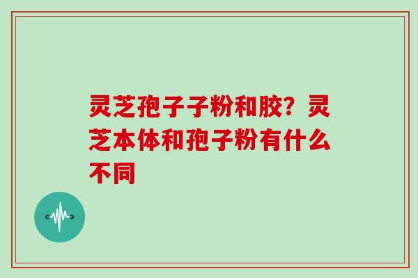 灵芝孢子子粉和胶？灵芝本体和孢子粉有什么不同