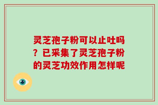 灵芝孢子粉可以止吐吗?已采集了灵芝孢子粉的灵芝功效作用怎样呢-第1张图片-灵芝大师 灵芝孢子粉可以止吐吗?已采集了灵芝孢子粉的灵芝功效作用怎样呢-第1张图片-灵芝大师