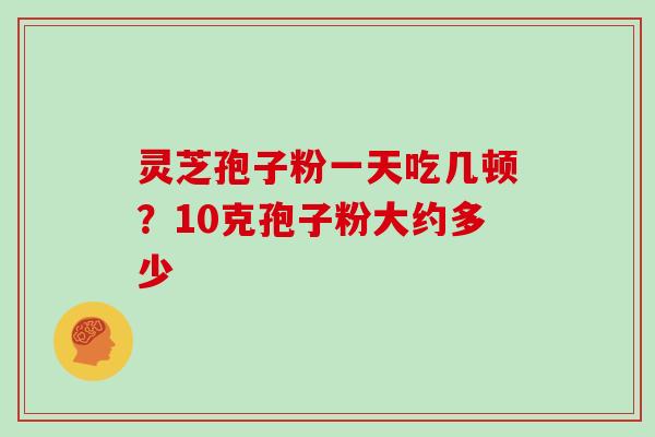 灵芝孢子粉一天吃几顿？10克孢子粉大约多少