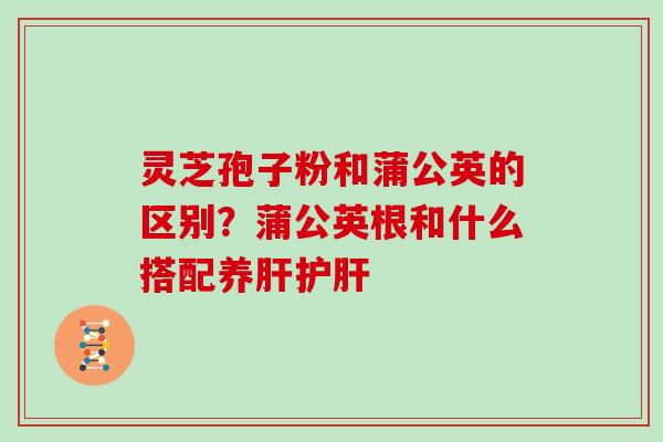 灵芝孢子粉和蒲公英的区别?蒲公英根和什么搭配养肝护肝-第1张图片-灵芝大师 灵芝孢子粉和蒲公英的区别?蒲公英根和什么搭配养肝护肝-第1张图片-灵芝大师