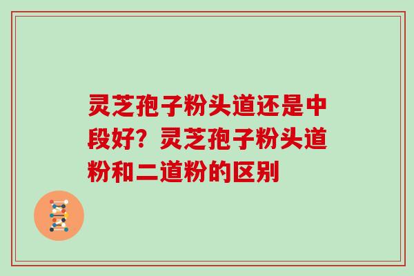灵芝孢子粉头道还是中段好？灵芝孢子粉头道粉和二道粉的区别