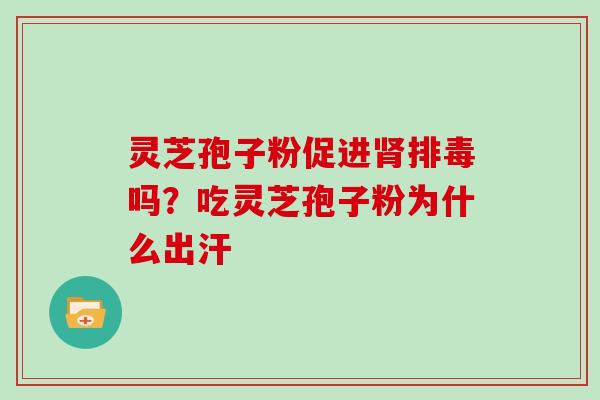 灵芝孢子粉促进肾排毒吗？吃灵芝孢子粉为什么出汗