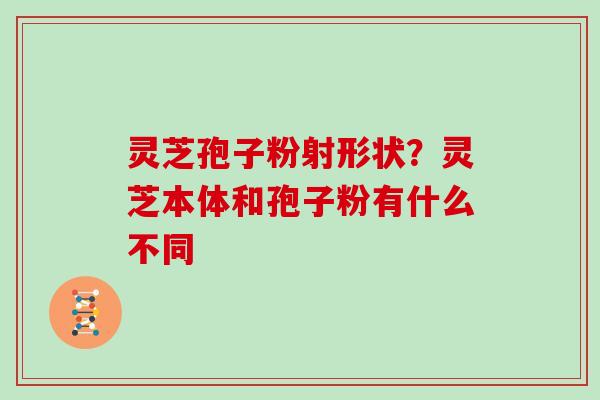 灵芝孢子粉射形状？灵芝本体和孢子粉有什么不同