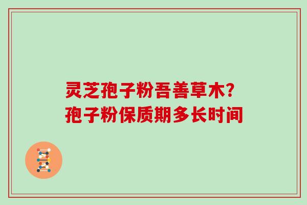灵芝孢子粉吾善草木？孢子粉保质期多长时间