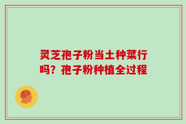 灵芝孢子粉当土种菜行吗？孢子粉种植全过程