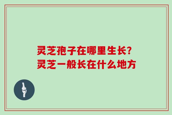灵芝孢子在哪里生长？灵芝一般长在什么地方