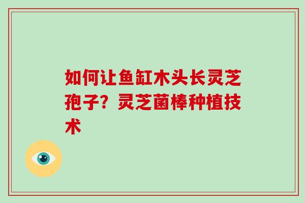 如何让鱼缸木头长灵芝孢子?灵芝菌棒种植技术-第1张图片-灵芝大师 如何让鱼缸木头长灵芝孢子?灵芝菌棒种植技术-第1张图片-灵芝大师