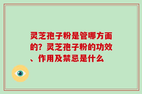 灵芝孢子粉是管哪方面的?灵芝孢子粉的功效、作用及禁忌是什么-第1张图片-灵芝大师 灵芝孢子粉是管哪方面的?灵芝孢子粉的功效、作用及禁忌是什么-第1张图片-灵芝大师