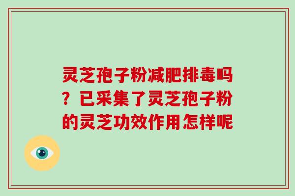 灵芝孢子粉减肥排毒吗？已采集了灵芝孢子粉的灵芝功效作用怎样呢