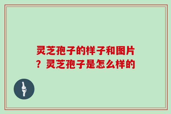 灵芝孢子的样子和图片？灵芝孢子是怎么样的