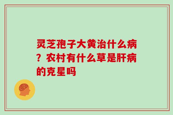 灵芝孢子大黄治什么病？农村有什么草是肝病的克星吗