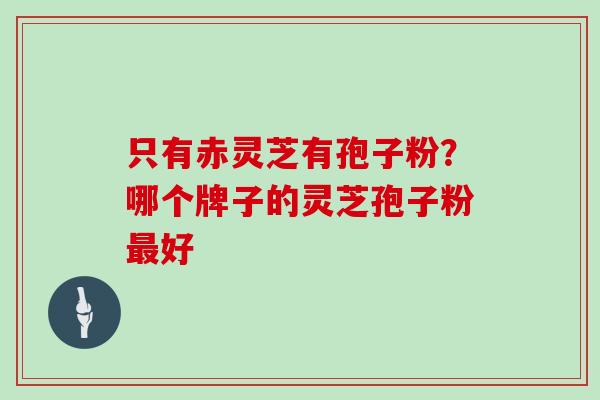 只有赤灵芝有孢子粉？哪个牌子的灵芝孢子粉最好