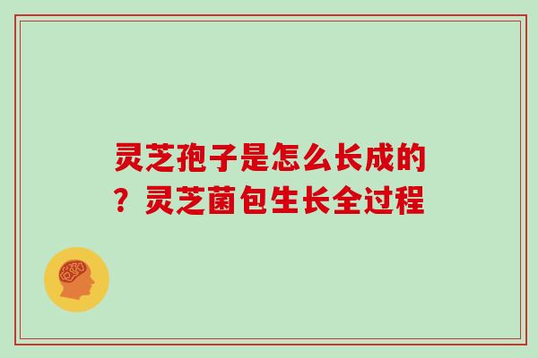 灵芝孢子是怎么长成的？灵芝菌包生长全过程