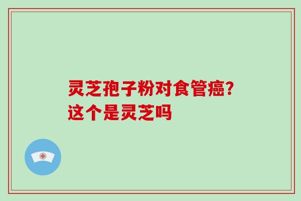 灵芝孢子粉对食管癌?这个是灵芝吗-第1张图片-灵芝大师 灵芝孢子粉对食管癌?这个是灵芝吗-第1张图片-灵芝大师