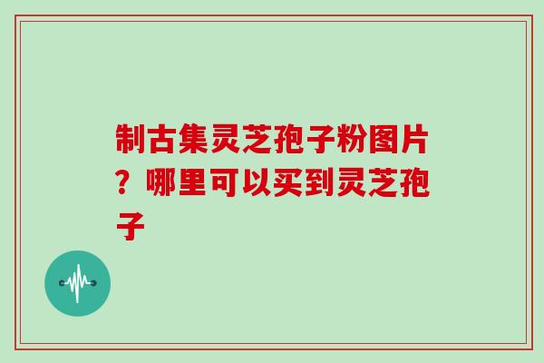 制古集灵芝孢子粉图片？哪里可以买到灵芝孢子