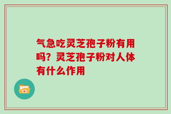 气急吃灵芝孢子粉有用吗?灵芝孢子粉对人体有什么作用-第1张图片-灵芝大师 气急吃灵芝孢子粉有用吗?灵芝孢子粉对人体有什么作用-第1张图片-灵芝大师