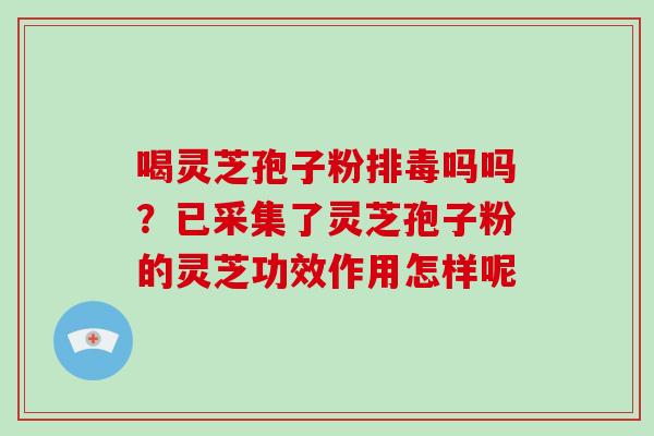 喝灵芝孢子粉排毒吗吗？已采集了灵芝孢子粉的灵芝功效作用怎样呢